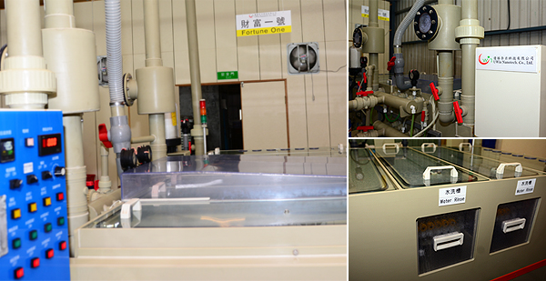 圖四 : 財富一號已整合了藥劑浸泡、水洗,以及廢水與廢氣的循環處理流程與功能